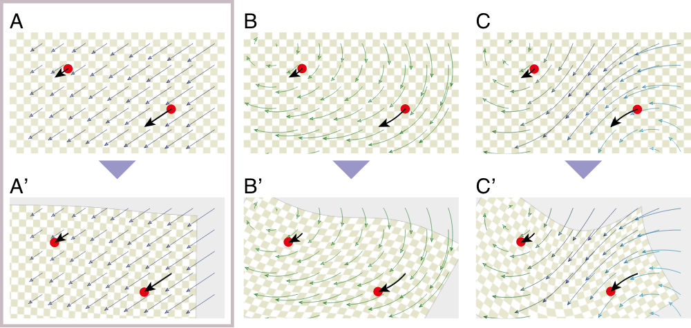 Geometric Transformation Fields