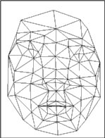 [2-D triangular patches]