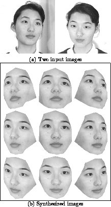 [Various poses using two input images]